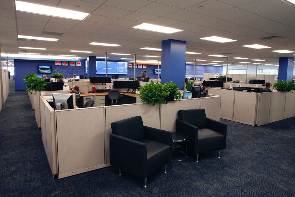 Treebo Hotel Mega off campus Drive 2023