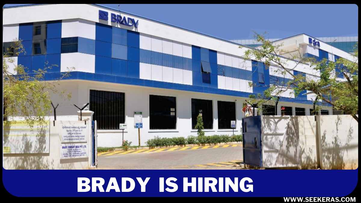 Brady Work From Home Job Vacancy Hiring Freshers