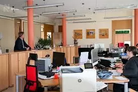 Remote Job Opportunities